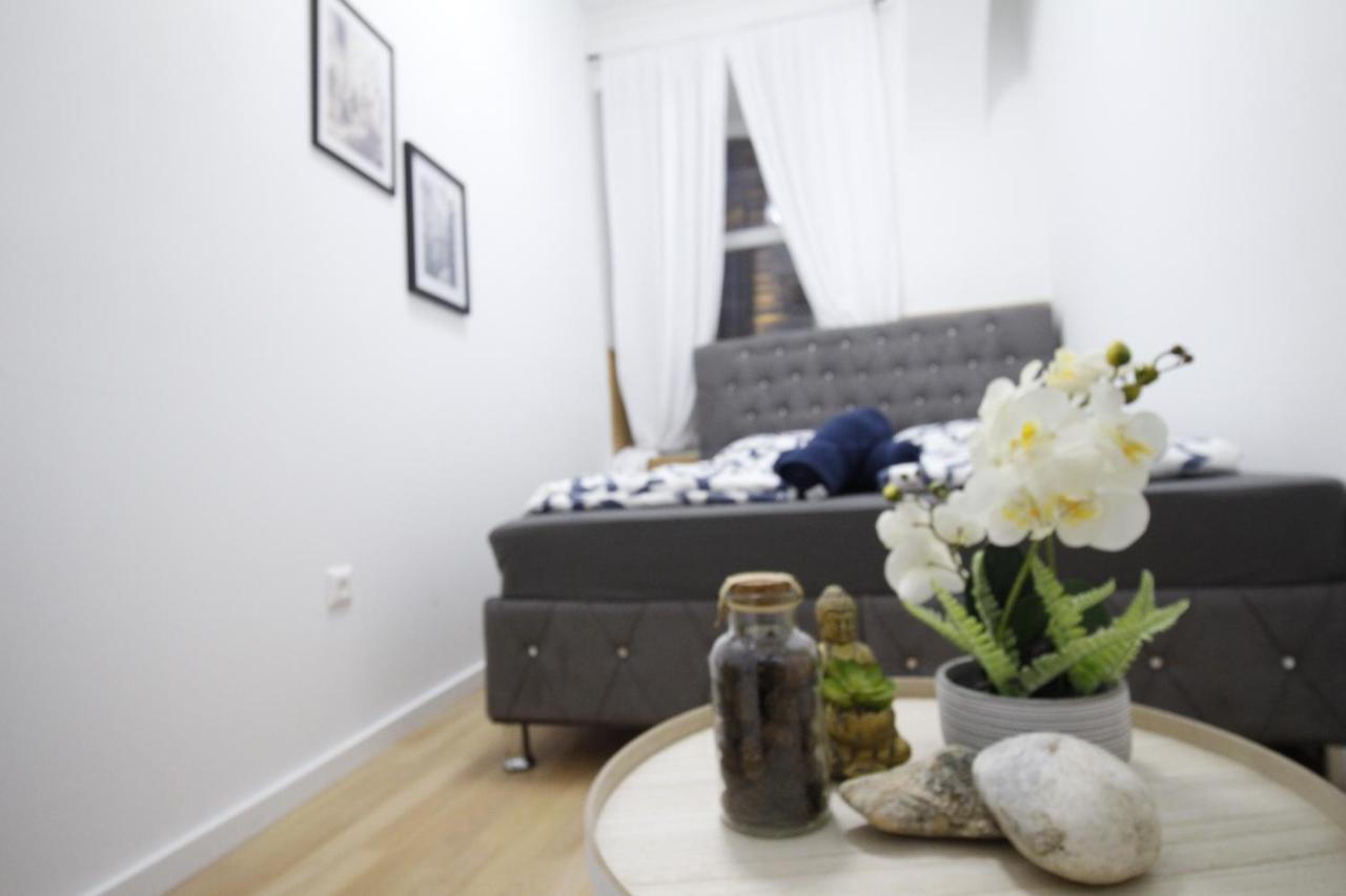 Appartement Premier Double Th A Vienne